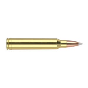 Nosler Trophy Grade .300 Winchester Magnum 180 Grain AccuBond Brass Cased Centerfire Rifle Ammunition 500 ROUNDS