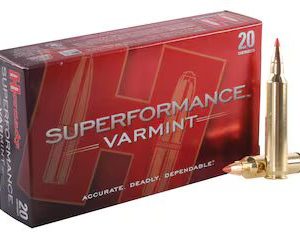 Hornady Superformance Varmint 204 Ruger Ammo 32 Grain Hornady V-Max Polymer Tip Of 500 Rounds